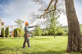 Best Tree and Shrub Care  in Bryans Road, MD